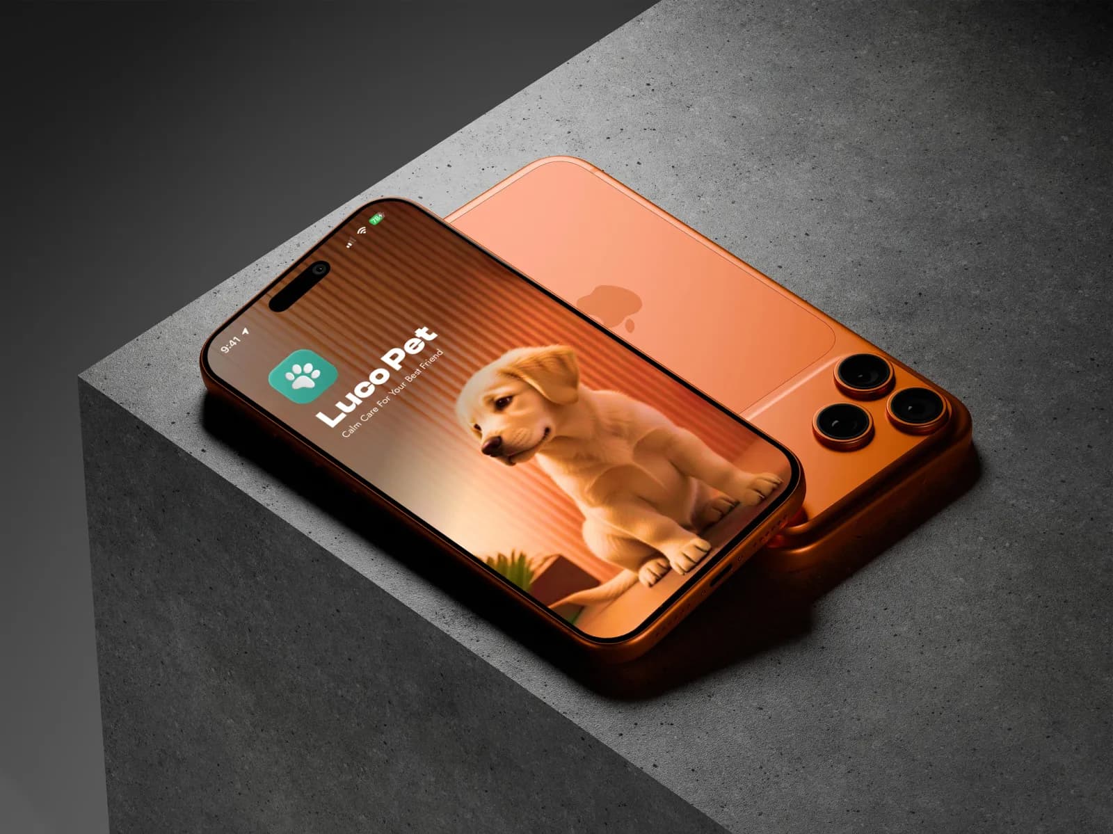LucoPet screen