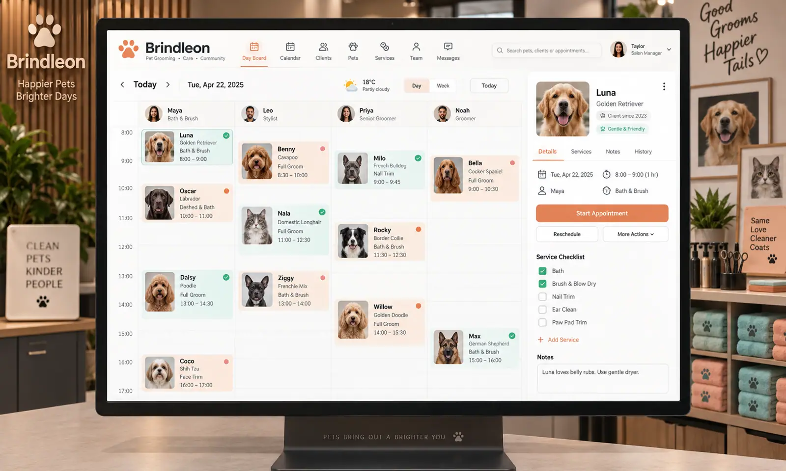 Brindleon SaaS Platform hero
